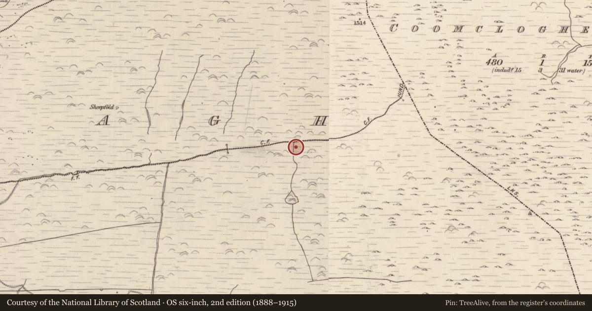 Ordnance Survey six-inch map, 2nd edition (1888–1915) covering the location of Field system, Gortlahard, County Kerry, with a pin at the register's coordinates