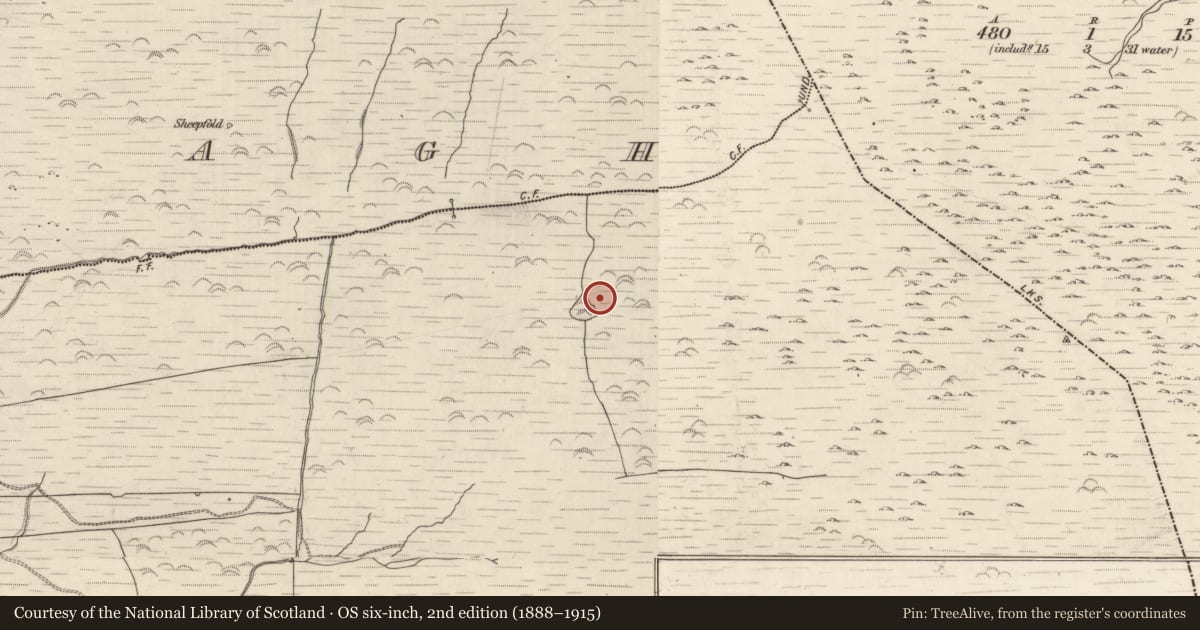 Ordnance Survey six-inch map, 2nd edition (1888–1915) covering the location of Hut site, Gortlahard, County Kerry, with a pin at the register's coordinates