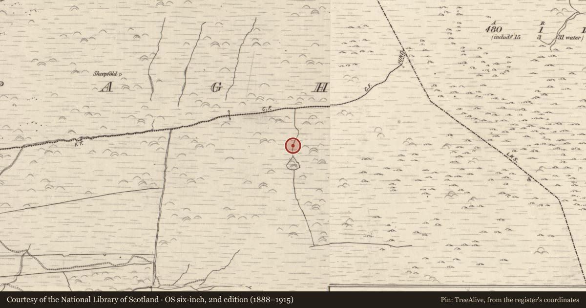 Ordnance Survey six-inch map, 2nd edition (1888–1915) covering the location of Hut site, Gortlahard, County Kerry, with a pin at the register's coordinates