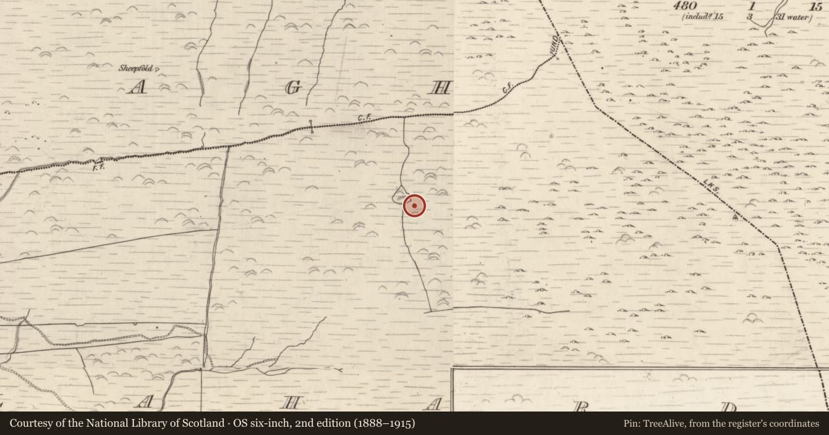 Ordnance Survey six-inch map, 2nd edition (1888–1915) covering the location of Field system, Gortlahard, County Kerry, with a pin at the register's coordinates