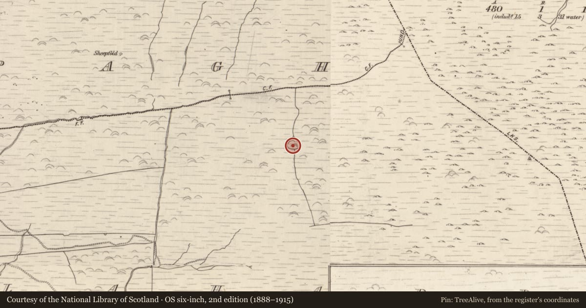 Ordnance Survey six-inch map, 2nd edition (1888–1915) covering the location of Hut site, Gortlahard, County Kerry, with a pin at the register's coordinates