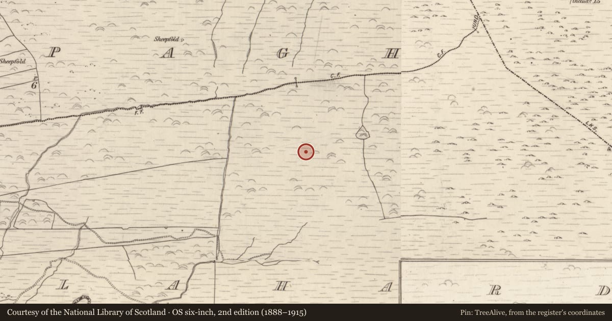 Ordnance Survey six-inch map, 2nd edition (1888–1915) covering the location of Hut site, Gortlahard, County Kerry, with a pin at the register's coordinates