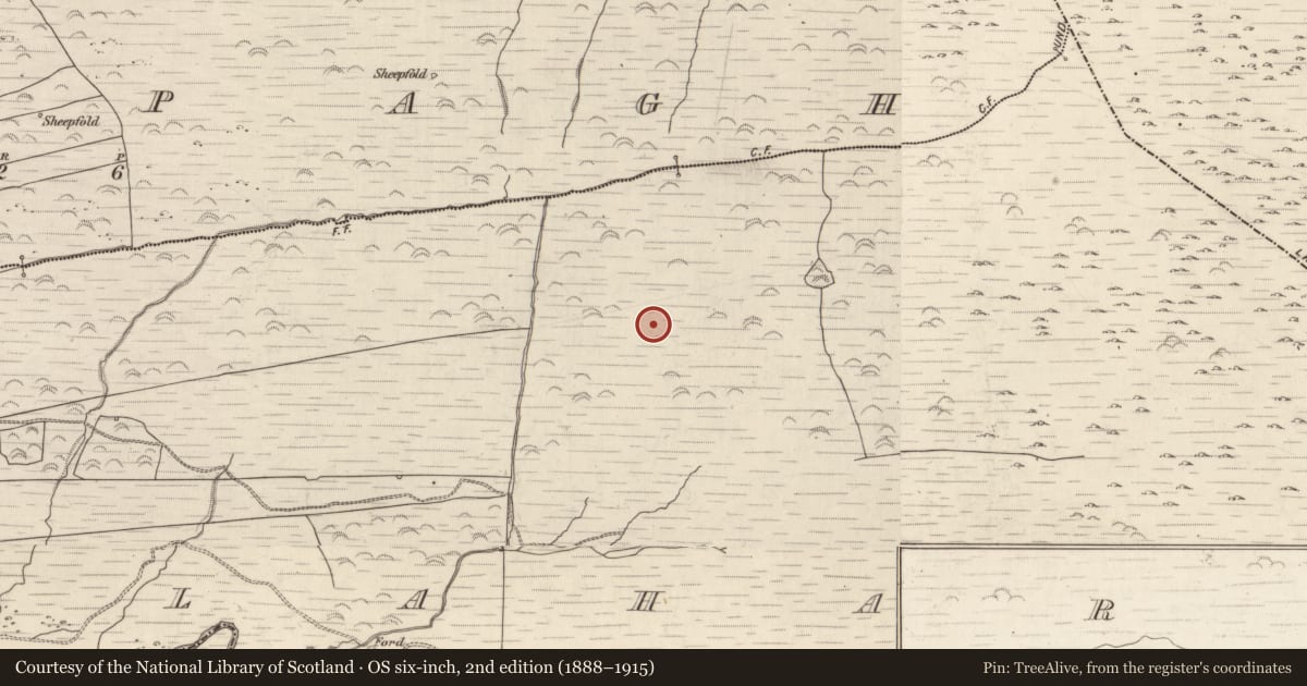 Ordnance Survey six-inch map, 2nd edition (1888–1915) covering the location of Hut site, Gortlahard, County Kerry, with a pin at the register's coordinates
