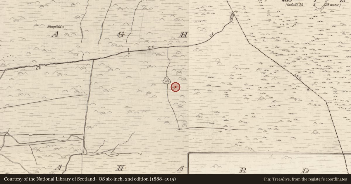 Ordnance Survey six-inch map, 2nd edition (1888–1915) covering the location of Field boundary, Gortlahard, County Kerry, with a pin at the register's coordinates