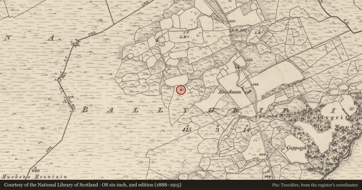 Ordnance Survey six-inch map, 2nd edition (1888–1915) covering the location of Field boundary, Ballygriffin, County Kerry, with a pin at the register's coordinates