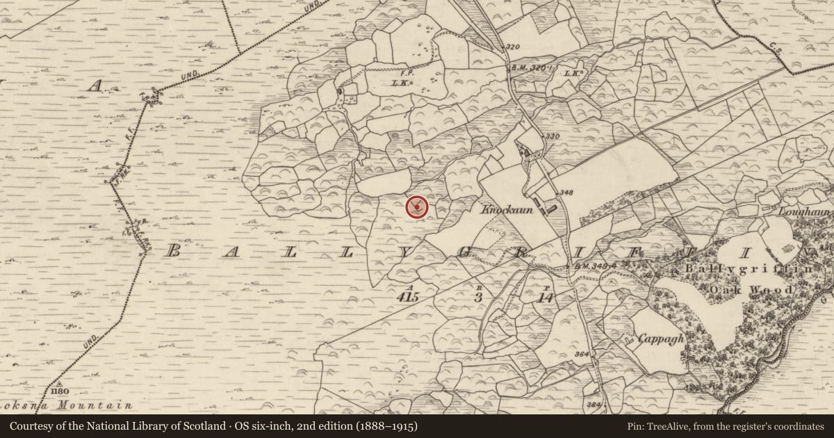 Ordnance Survey six-inch map, 2nd edition (1888–1915) covering the location of Enclosure, Ballygriffin, County Kerry, with a pin at the register's coordinates