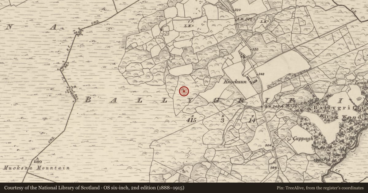 Ordnance Survey six-inch map, 2nd edition (1888–1915) covering the location of Megalithic tomb - wedge tomb, Ballygriffin, County Kerry, with a pin at the register's coordinates