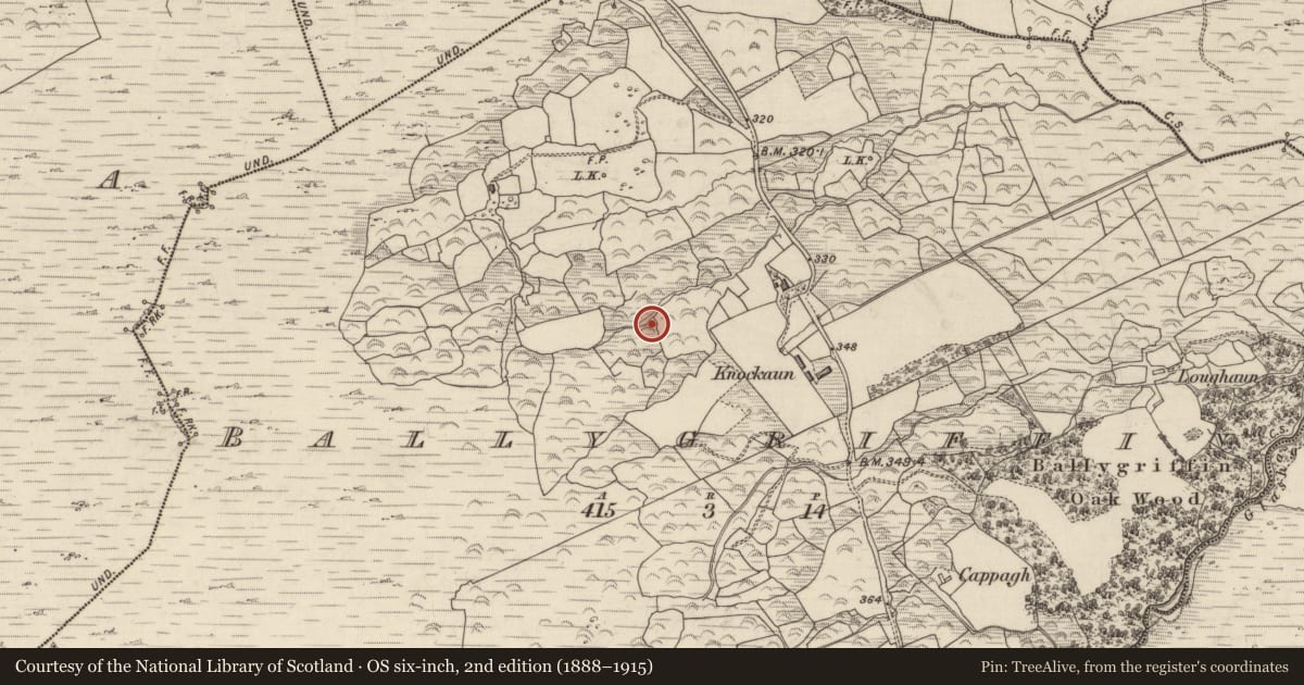 Ordnance Survey six-inch map, 2nd edition (1888–1915) covering the location of Fulacht fia, Ballygriffin, County Kerry, with a pin at the register's coordinates