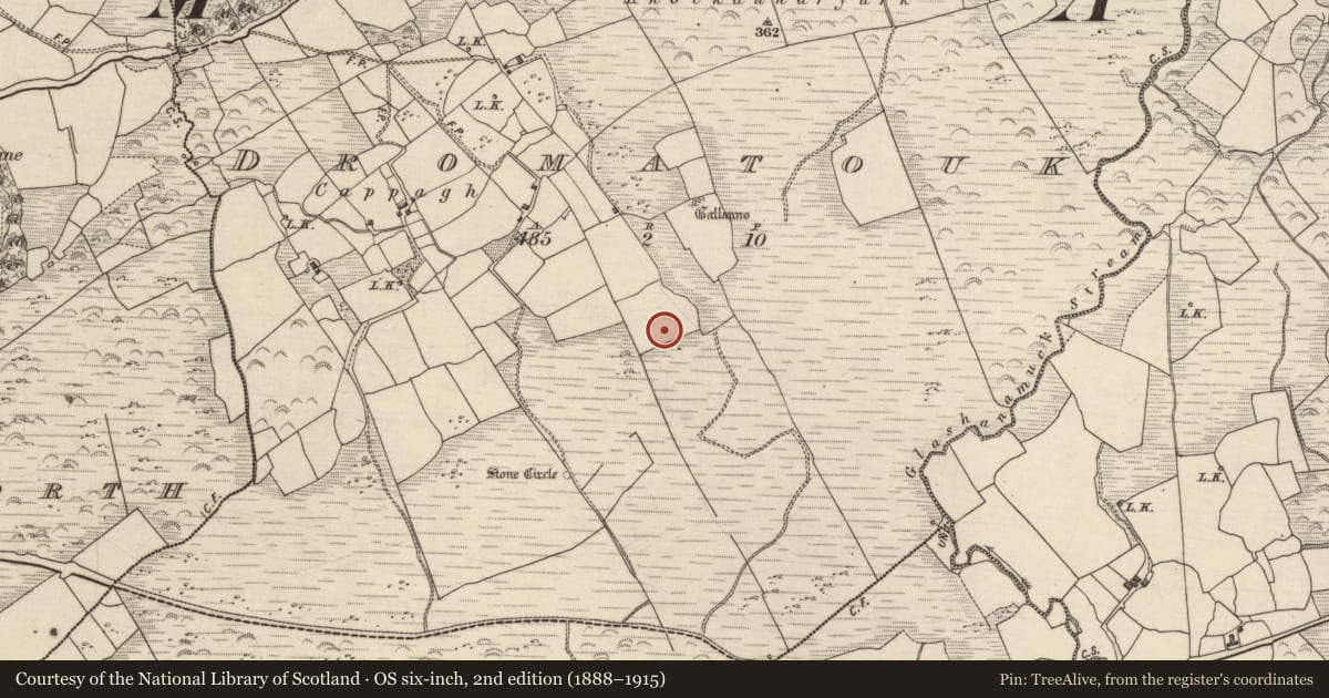 Ordnance Survey six-inch map, 2nd edition (1888–1915) covering the location of Stone circle - five-stone, Dromatouk, County Kerry, with a pin at the register's coordinates