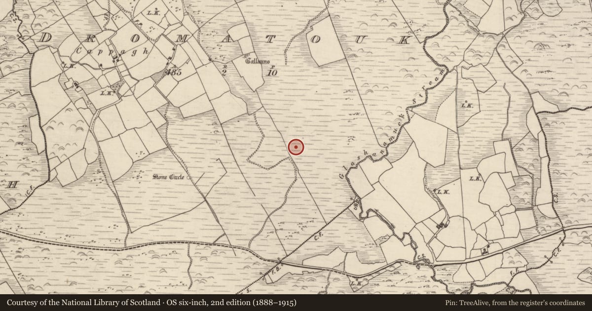 Ordnance Survey six-inch map, 2nd edition (1888–1915) covering the location of Stone row, Dromatouk, County Kerry, with a pin at the register's coordinates