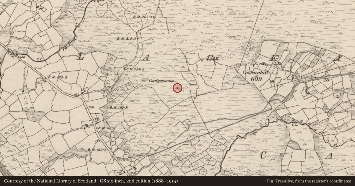 Ordnance Survey six-inch map, 2nd edition (1888–1915) covering the location of Fulacht fia, Lackaroe, County Kerry, with a pin at the register's coordinates