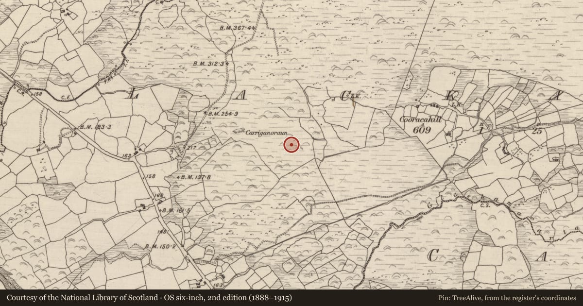 Ordnance Survey six-inch map, 2nd edition (1888–1915) covering the location of Fulacht fia, Lackaroe, County Kerry, with a pin at the register's coordinates