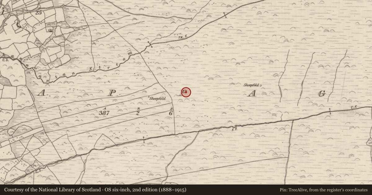 Ordnance Survey six-inch map, 2nd edition (1888–1915) covering the location of Field system, Cappagh, County Kerry, with a pin at the register's coordinates