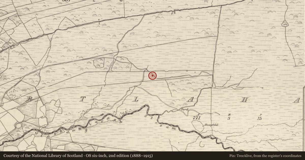 Ordnance Survey six-inch map, 2nd edition (1888–1915) covering the location of Burnt spread, Gortlahard, County Kerry, with a pin at the register's coordinates