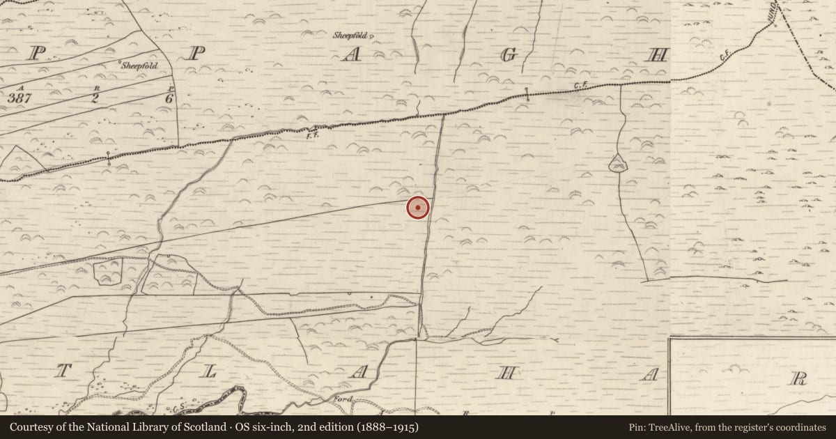 Ordnance Survey six-inch map, 2nd edition (1888–1915) covering the location of Megalithic tomb - wedge tomb, Gortlahard, County Kerry, with a pin at the register's coordinates