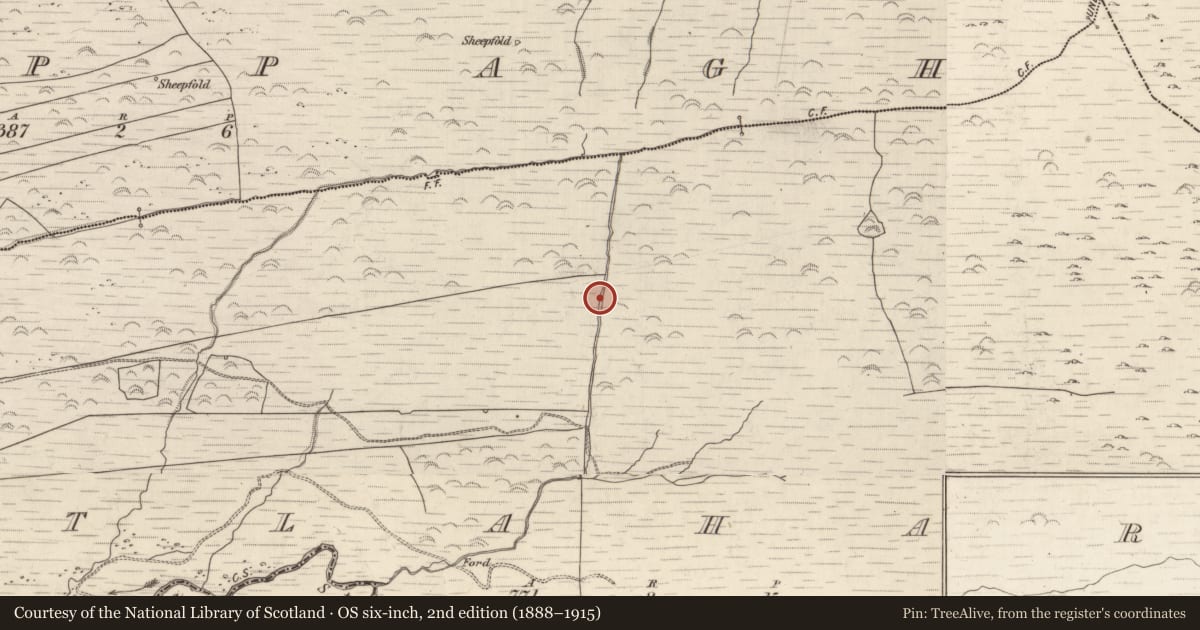 Ordnance Survey six-inch map, 2nd edition (1888–1915) covering the location of Field boundary, Gortlahard, County Kerry, with a pin at the register's coordinates