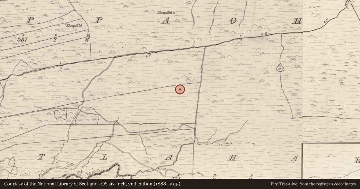 Ordnance Survey six-inch map, 2nd edition (1888–1915) covering the location of Field boundary, Gortlahard, County Kerry, with a pin at the register's coordinates