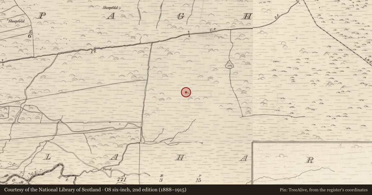 Ordnance Survey six-inch map, 2nd edition (1888–1915) covering the location of Cairn - unclassified, Gortlahard, County Kerry, with a pin at the register's coordinates