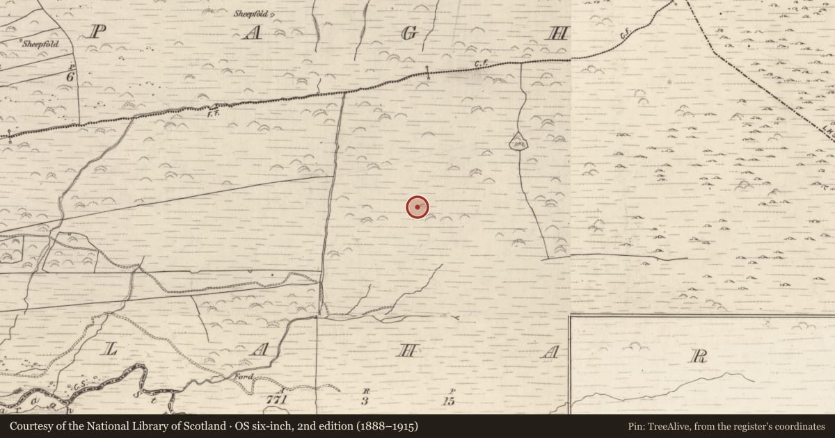 Ordnance Survey six-inch map, 2nd edition (1888–1915) covering the location of Cairn - unclassified, Gortlahard, County Kerry, with a pin at the register's coordinates