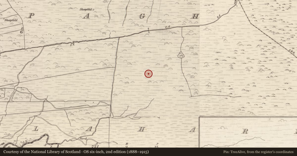 Ordnance Survey six-inch map, 2nd edition (1888–1915) covering the location of Cairn - unclassified, Gortlahard, County Kerry, with a pin at the register's coordinates