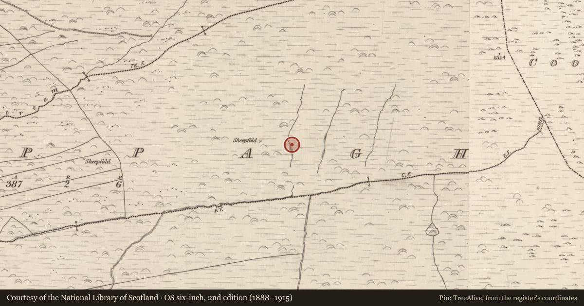 Ordnance Survey six-inch map, 2nd edition (1888–1915) covering the location of Hut site, Cappagh, County Kerry, with a pin at the register's coordinates