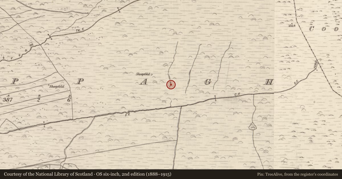 Ordnance Survey six-inch map, 2nd edition (1888–1915) covering the location of Hut site, Cappagh, County Kerry, with a pin at the register's coordinates