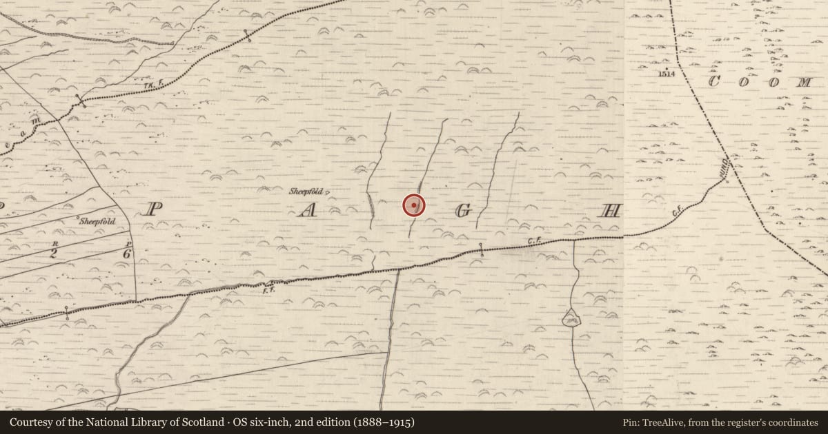Ordnance Survey six-inch map, 2nd edition (1888–1915) covering the location of Field boundary, Cappagh, County Kerry, with a pin at the register's coordinates