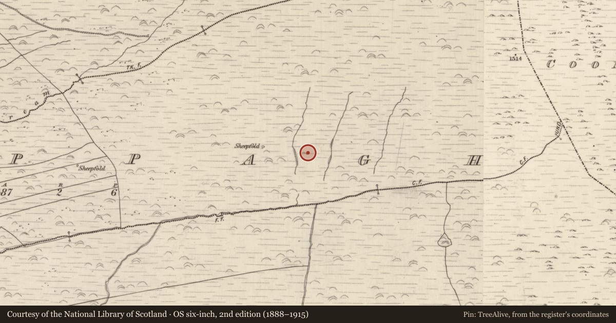 Ordnance Survey six-inch map, 2nd edition (1888–1915) covering the location of Enclosure, Cappagh, County Kerry, with a pin at the register's coordinates