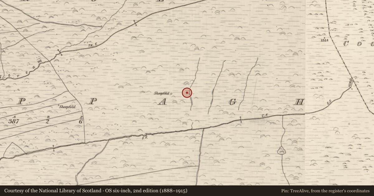 Ordnance Survey six-inch map, 2nd edition (1888–1915) covering the location of Hut site, Cappagh, County Kerry, with a pin at the register's coordinates