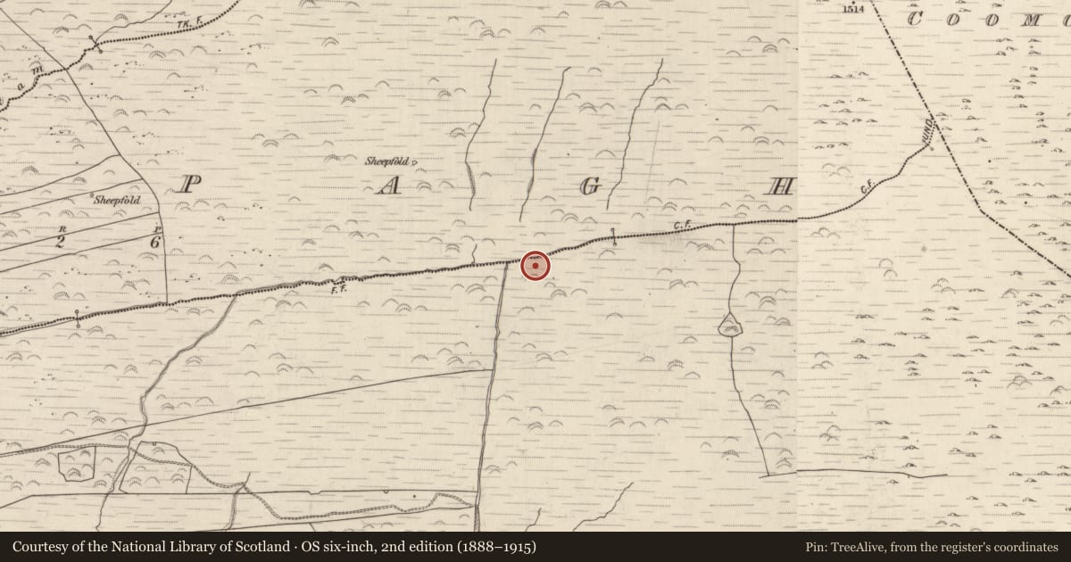 Ordnance Survey six-inch map, 2nd edition (1888–1915) covering the location of Field boundary, Gortlahard, County Kerry, with a pin at the register's coordinates