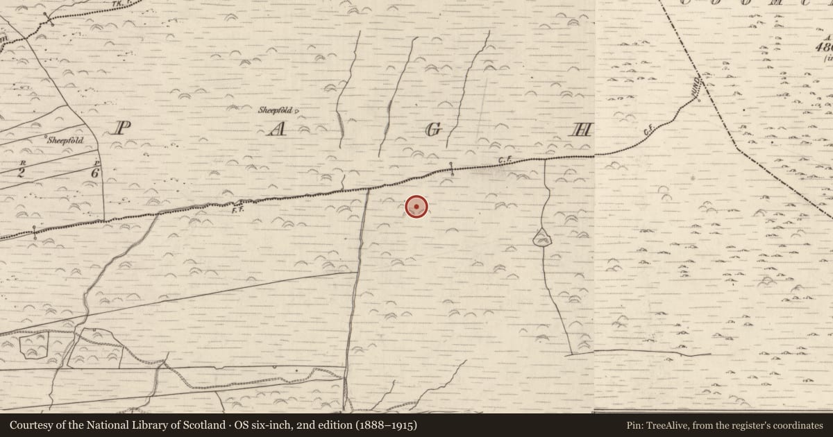 Ordnance Survey six-inch map, 2nd edition (1888–1915) covering the location of Fulacht fia, Gortlahard, County Kerry, with a pin at the register's coordinates