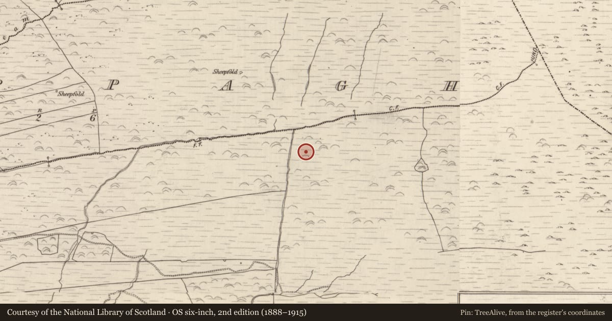Ordnance Survey six-inch map, 2nd edition (1888–1915) covering the location of Cairn - unclassified, Gortlahard, County Kerry, with a pin at the register's coordinates