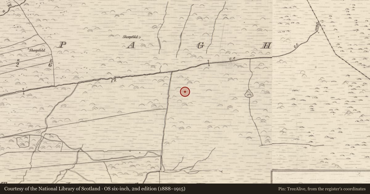 Ordnance Survey six-inch map, 2nd edition (1888–1915) covering the location of Cairn - unclassified, Gortlahard, County Kerry, with a pin at the register's coordinates
