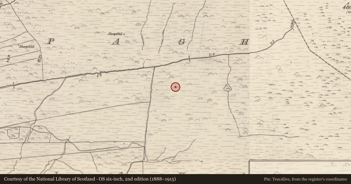 Ordnance Survey six-inch map, 2nd edition (1888–1915) covering the location of Cairn - unclassified, Gortlahard, County Kerry, with a pin at the register's coordinates