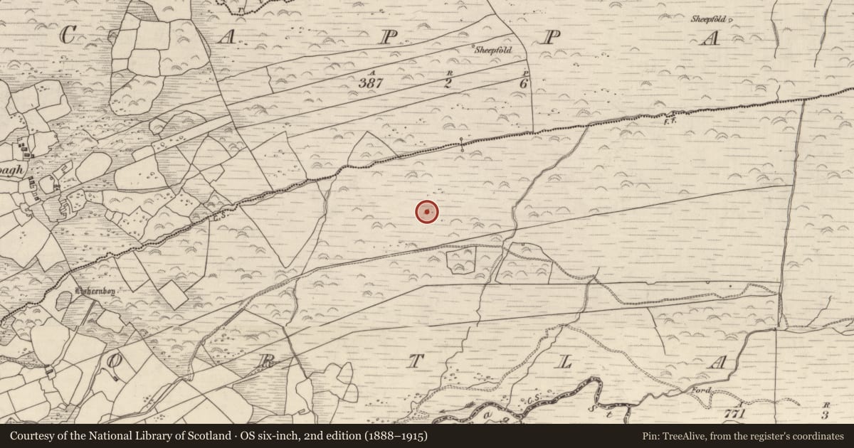 Ordnance Survey six-inch map, 2nd edition (1888–1915) covering the location of Field boundary, Gortlahard, County Kerry, with a pin at the register's coordinates