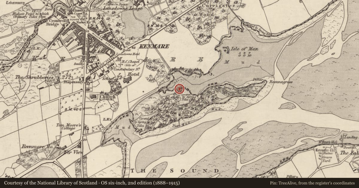 Ordnance Survey six-inch map, 2nd edition (1888–1915) covering the location of Enclosure, Kenmare, County Kerry, with a pin at the register's coordinates