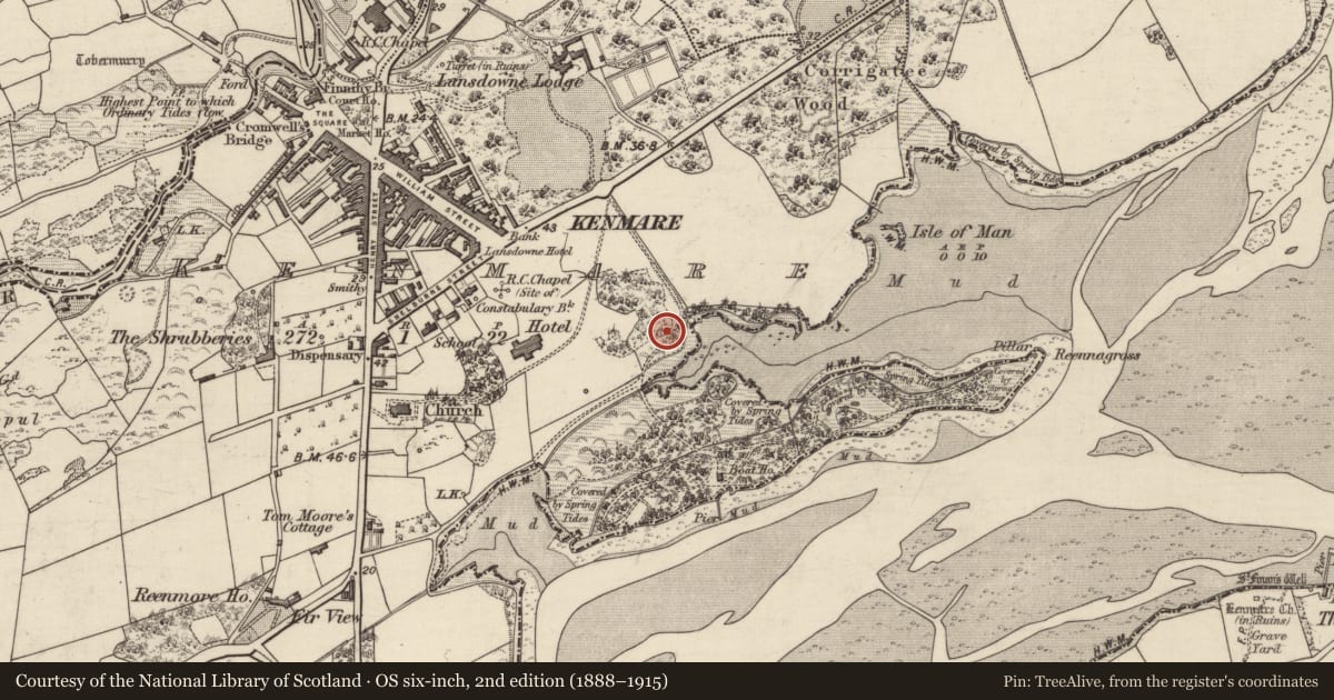 Ordnance Survey six-inch map, 2nd edition (1888–1915) covering the location of Souterrain, Kenmare, County Kerry, with a pin at the register's coordinates