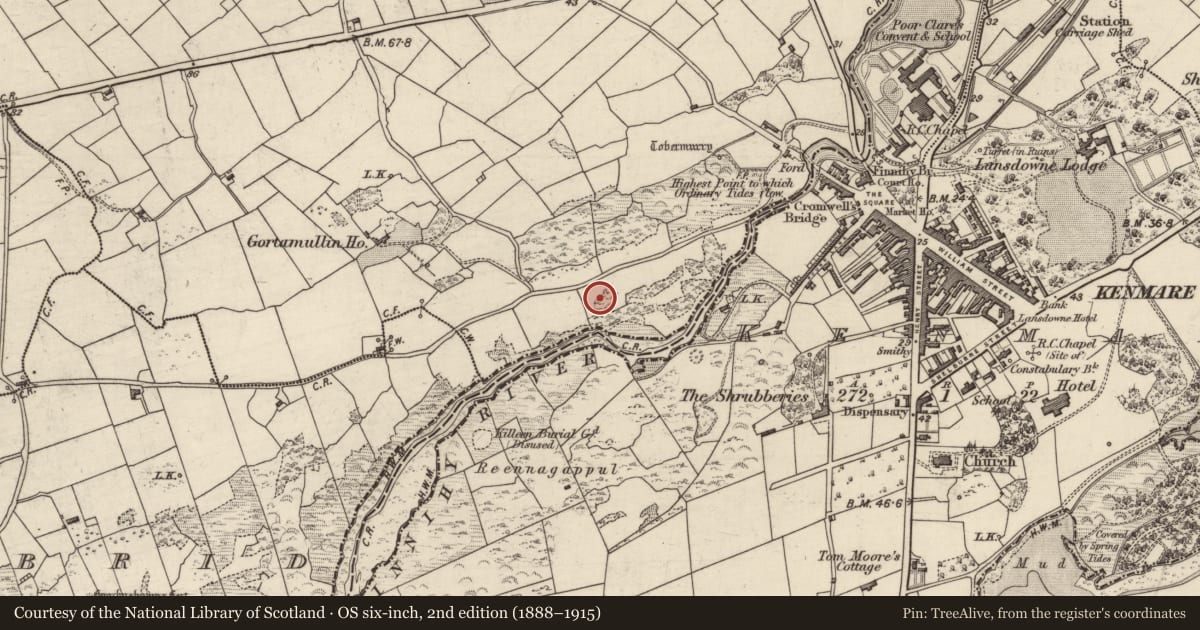 Ordnance Survey six-inch map, 2nd edition (1888–1915) covering the location of Souterrain, Gortamullin, County Kerry, with a pin at the register's coordinates