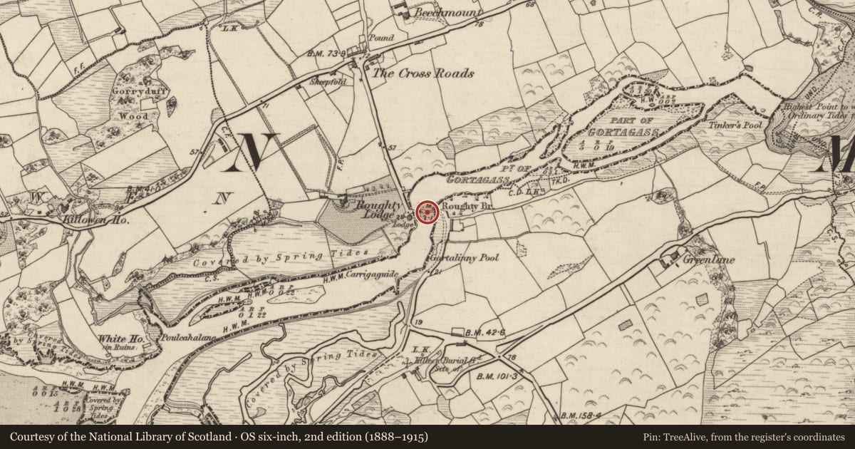 Ordnance Survey six-inch map, 2nd edition (1888–1915) covering the location of Bridge, Gortagass, Gortalinny North, County Kerry, with a pin at the register's coordinates