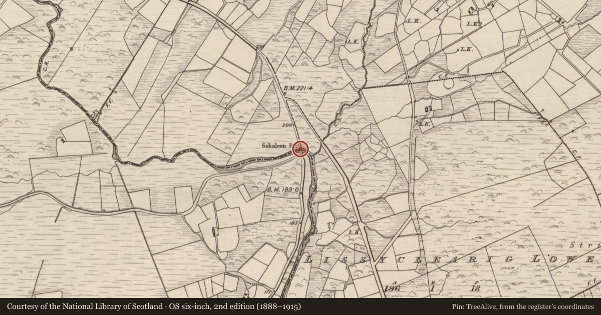 Ordnance Survey six-inch map, 2nd edition (1888–1915) covering the location of Bridge, Carhoomeengar East, Gortamullin, County Kerry, with a pin at the register's coordinates