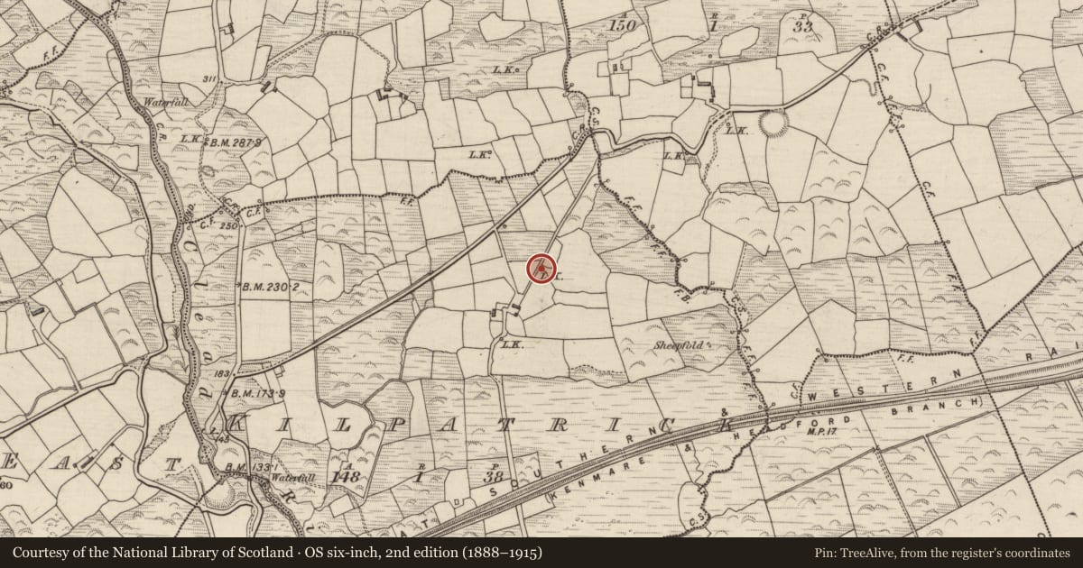 Ordnance Survey six-inch map, 2nd edition (1888–1915) covering the location of Kiln - lime, Kilpatrick, County Kerry, with a pin at the register's coordinates