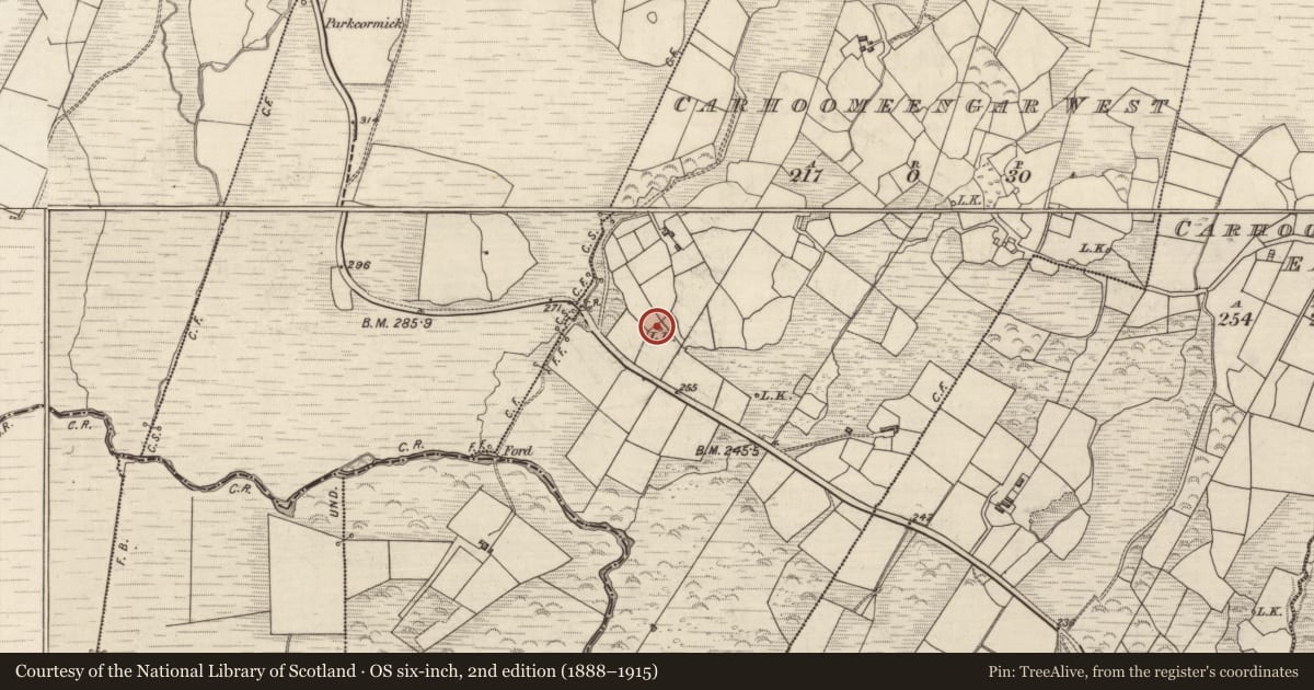 Ordnance Survey six-inch map, 2nd edition (1888–1915) covering the location of Kiln - lime, Carhoomeengar West, County Kerry, with a pin at the register's coordinates