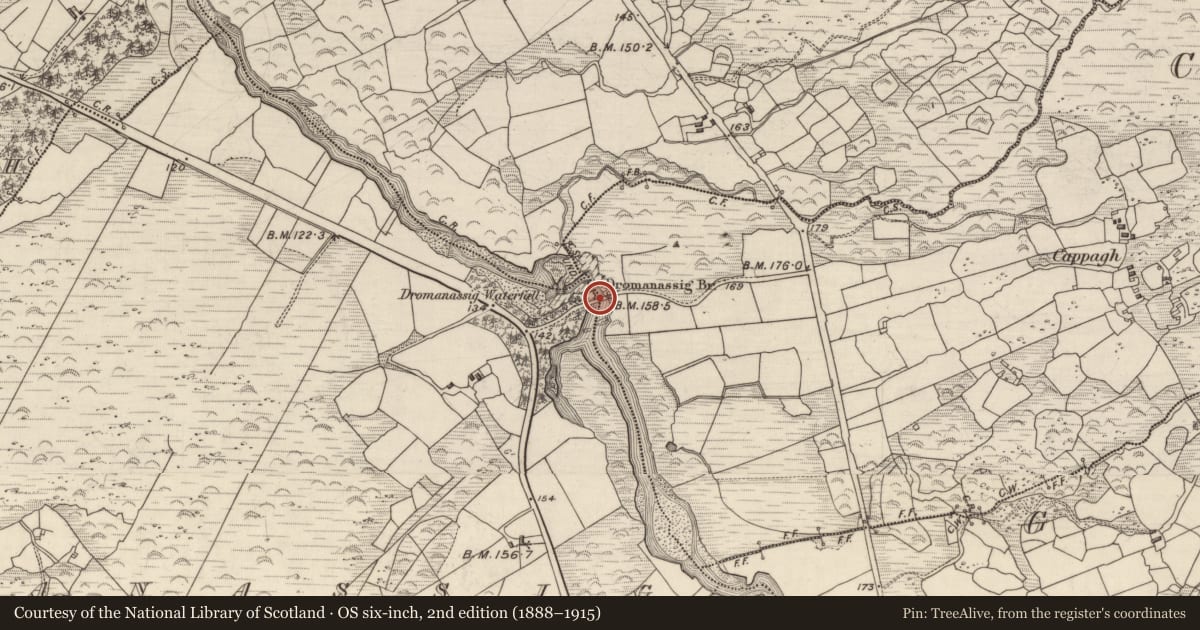 Ordnance Survey six-inch map, 2nd edition (1888–1915) covering the location of Bridge, Cappagh, Dromanassig, County Kerry, with a pin at the register's coordinates