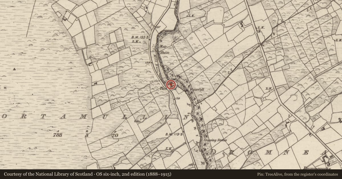 Ordnance Survey six-inch map, 2nd edition (1888–1915) covering the location of Mill - fulling, Gortamullin, County Kerry, with a pin at the register's coordinates