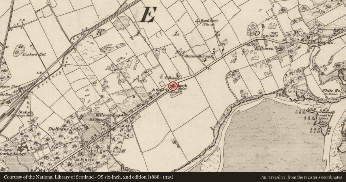 Ordnance Survey six-inch map, 2nd edition (1888–1915) covering the location of Church, Killowen, County Kerry, with a pin at the register's coordinates