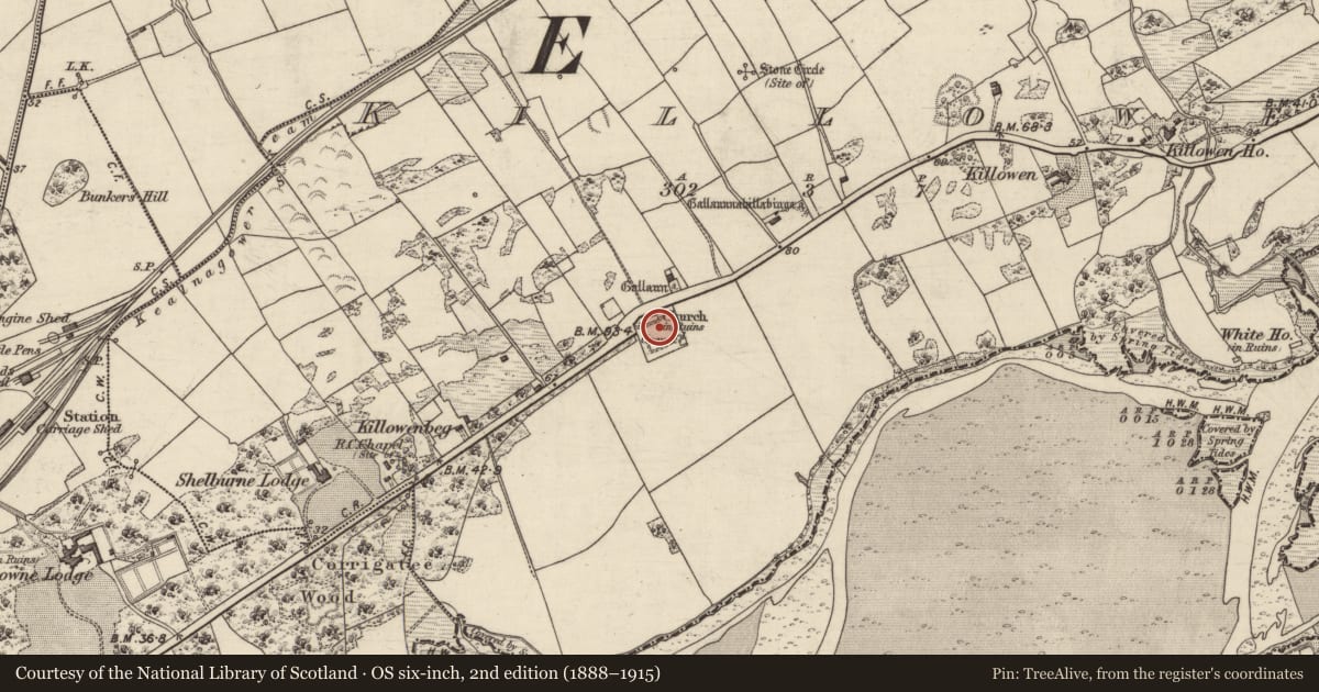 Ordnance Survey six-inch map, 2nd edition (1888–1915) covering the location of Graveyard, Killowen, County Kerry, with a pin at the register's coordinates
