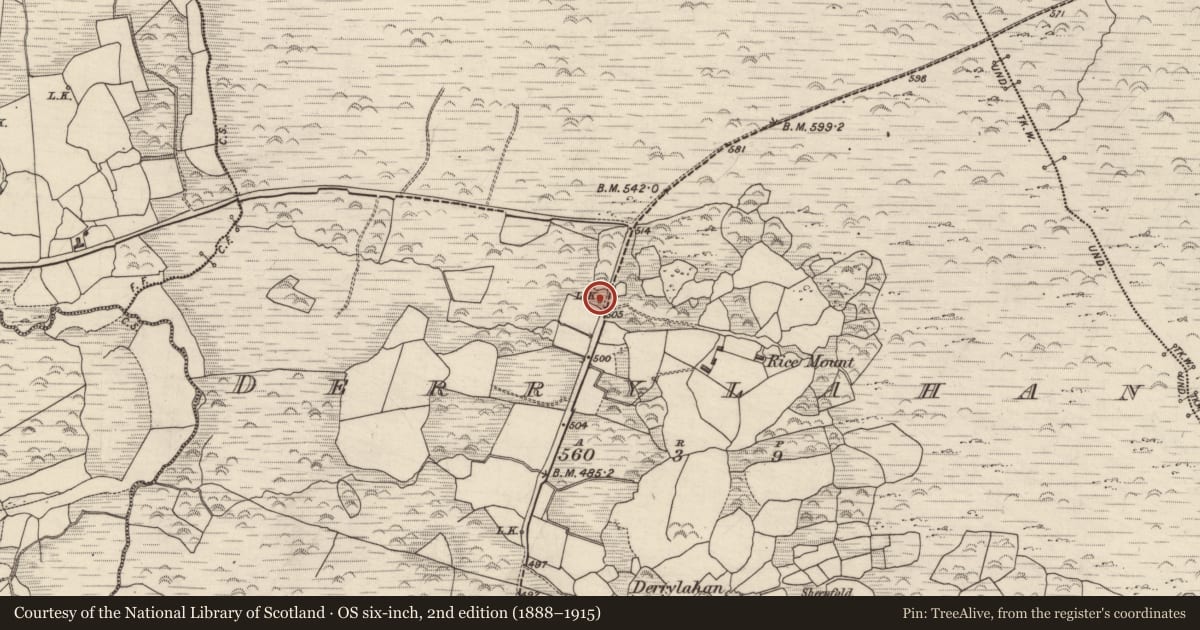 Ordnance Survey six-inch map, 2nd edition (1888–1915) covering the location of Kiln - lime, Derrylahan, County Kerry, with a pin at the register's coordinates