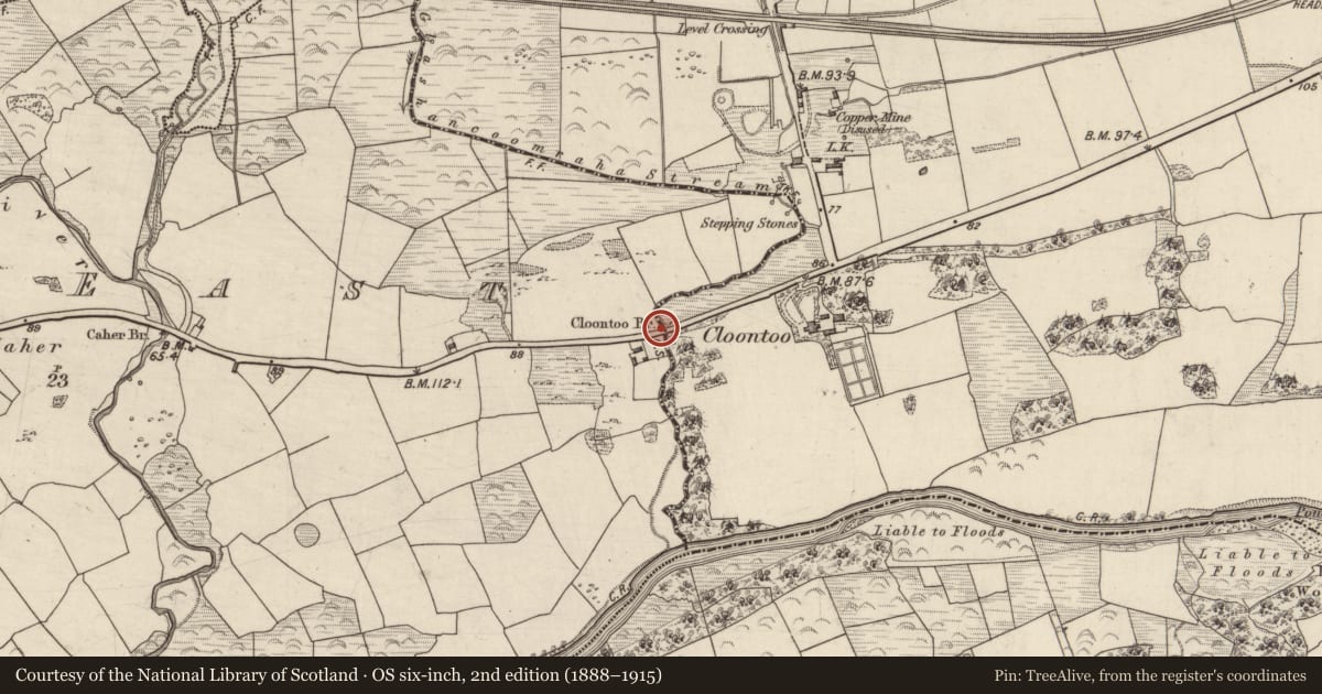 Ordnance Survey six-inch map, 2nd edition (1888–1915) covering the location of Bridge, Ardtully, Caher East, County Kerry, with a pin at the register's coordinates