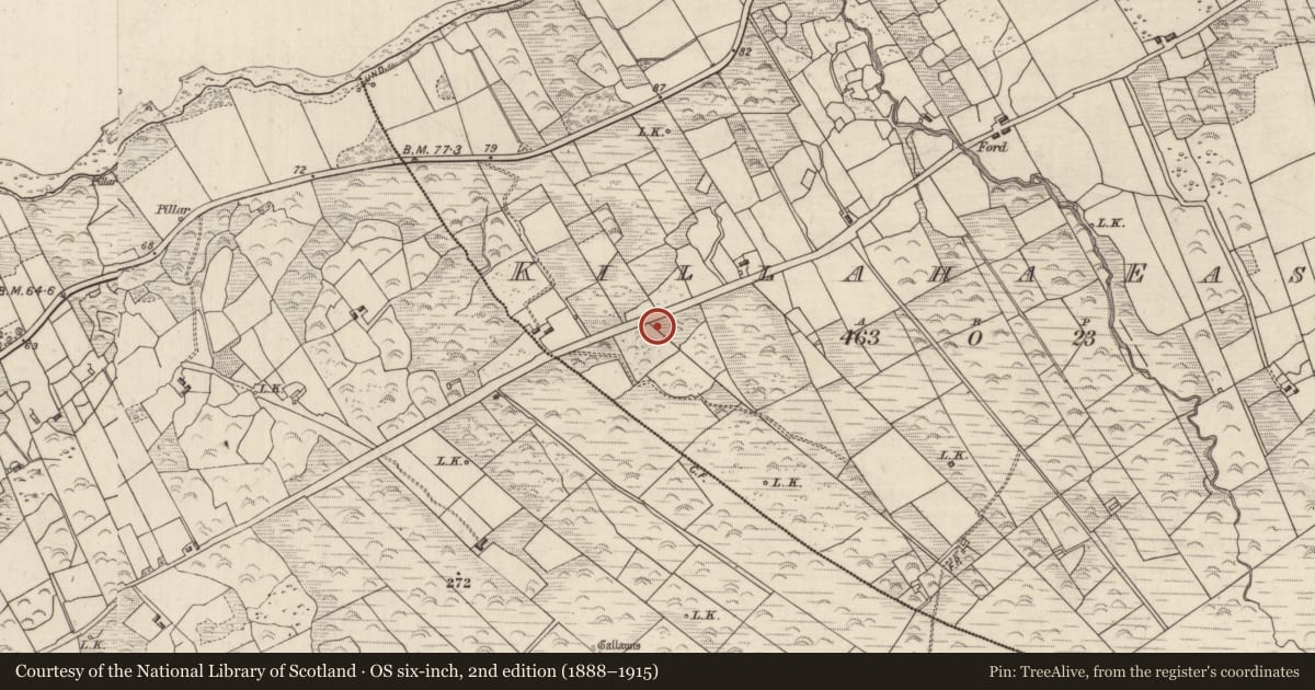 Ordnance Survey six-inch map, 2nd edition (1888–1915) covering the location of Enclosure, Killaha East, County Kerry, with a pin at the register's coordinates