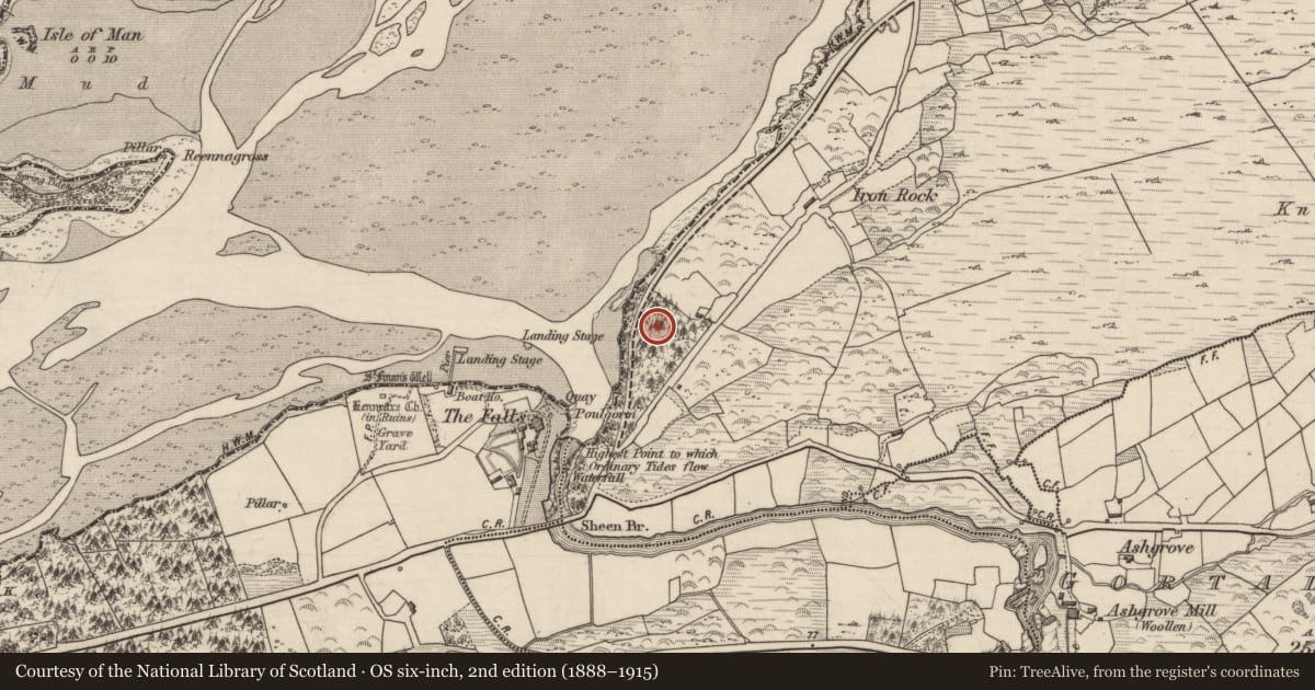 Ordnance Survey six-inch map, 2nd edition (1888–1915) covering the location of Standing stone, Gortalinny North, County Kerry, with a pin at the register's coordinates